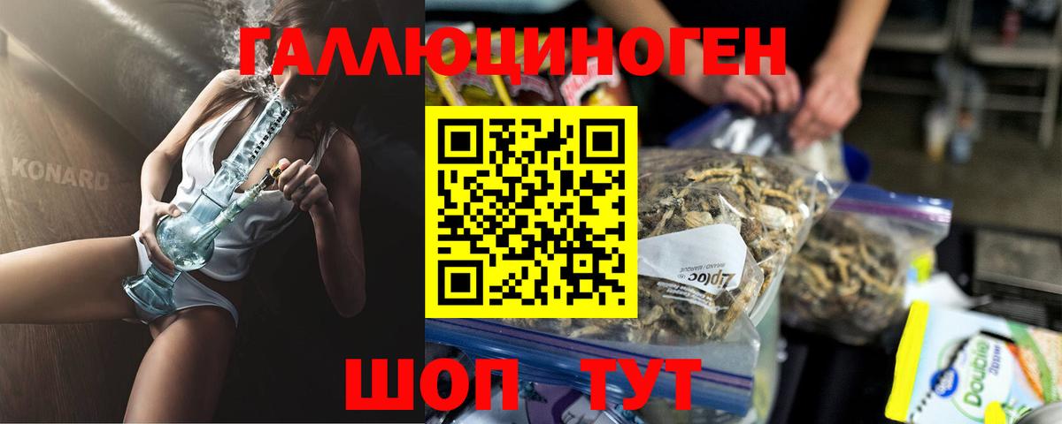 Псилоцибиновые грибы Cubensis  Вход с VPN  Магадан 