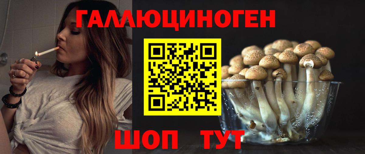Галлюциногенные грибы ЛСД Магадан